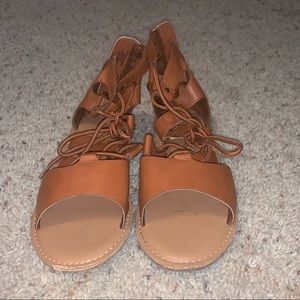 Little Girls Gladiators 🧡